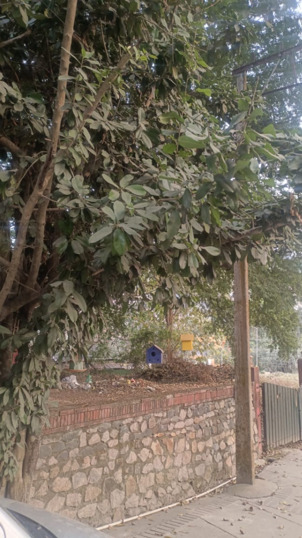 Unfurnished 3bhk in Geetanagar, Guwahati, Assam, India for Rent